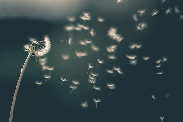 Pourquoi il ne faut pas prendre l'avion ?